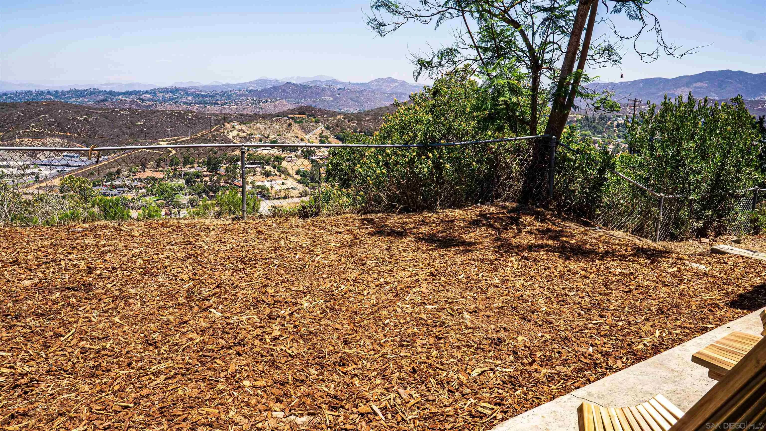 3041 Millar Ranch Road Spring Valley, CA 91978 - Photo 3 of 4 a view of a forest filled with trees