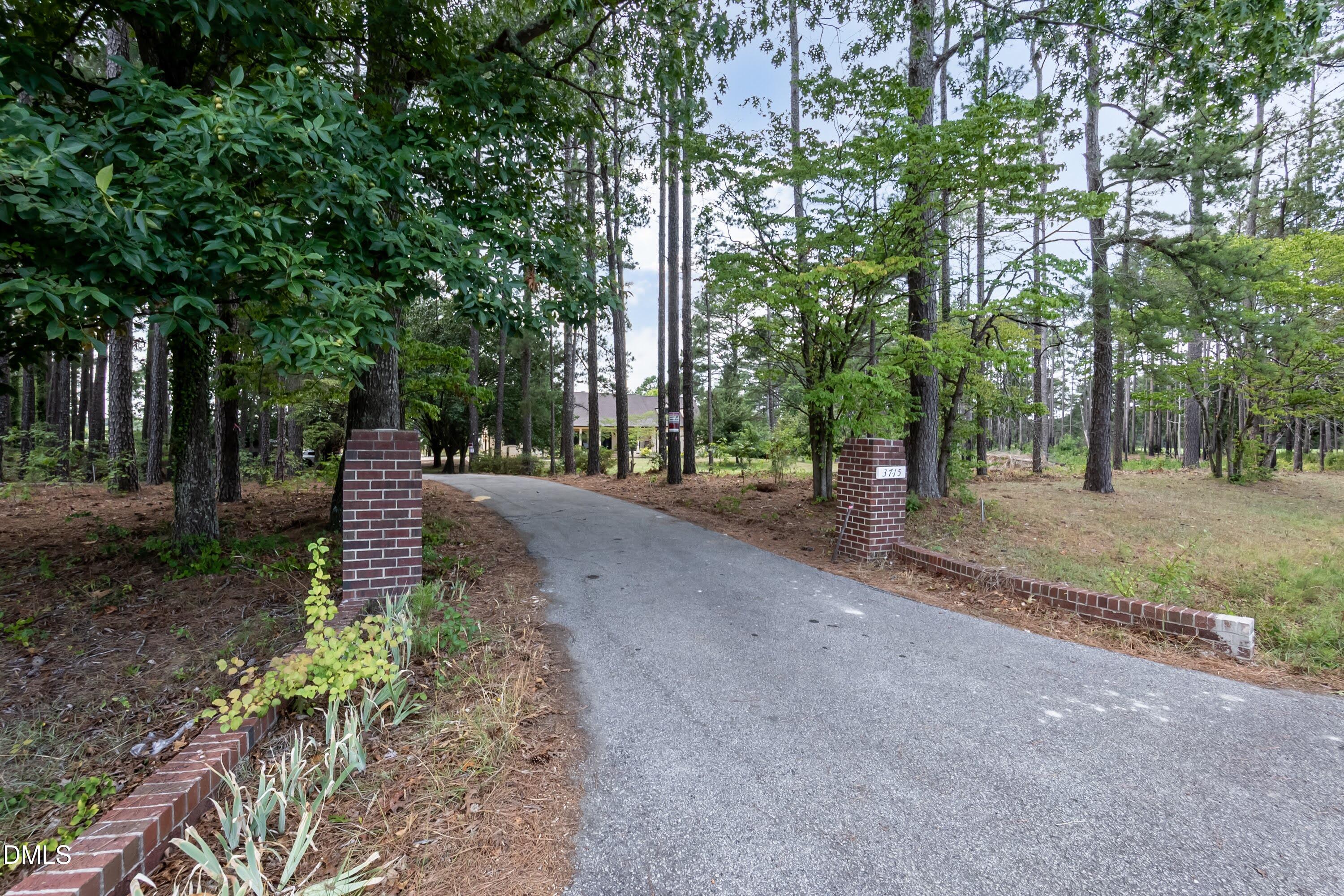 3715 South River Road Lillington, NC 27546 - Photo 91 of 91 Driveway 02