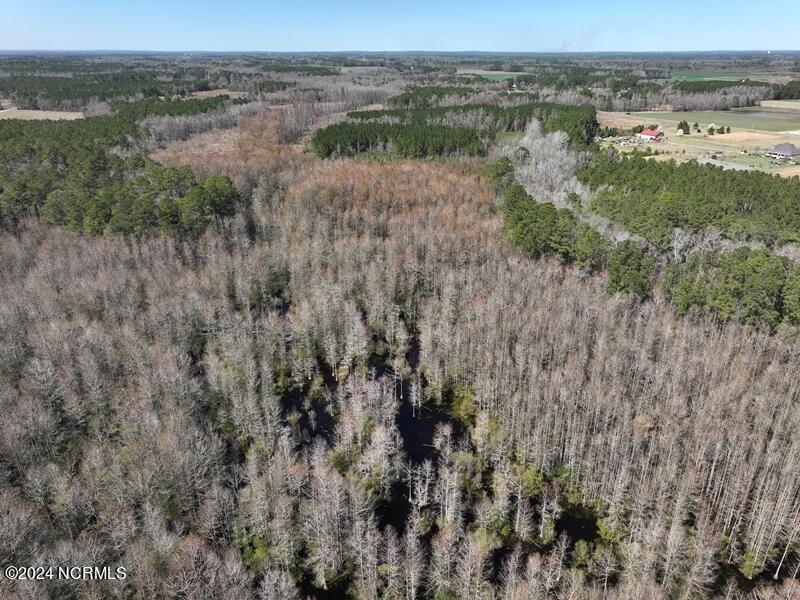 Tbd McGougan Road Lumber Bridge, NC 28357 - Photo 8 of 16 DJI_20240312142449_0136_D