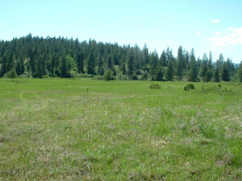 2075C Johnson Road Rice, WA 99167 - Photo 13 of 20