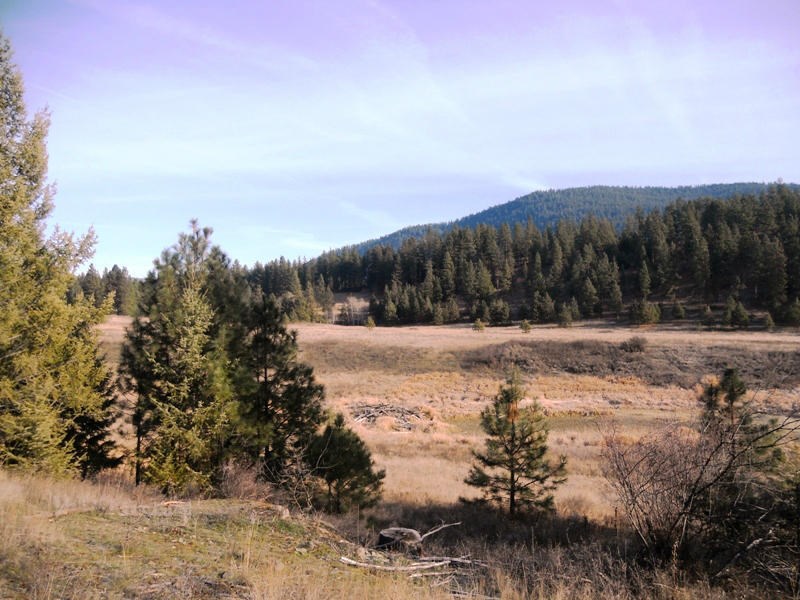 2075C Johnson Road Rice, WA 99167 - Photo 14 of 20