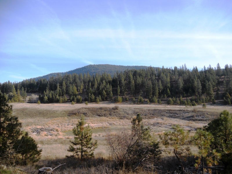 2075C Johnson Road Rice, WA 99167 - Photo 15 of 20