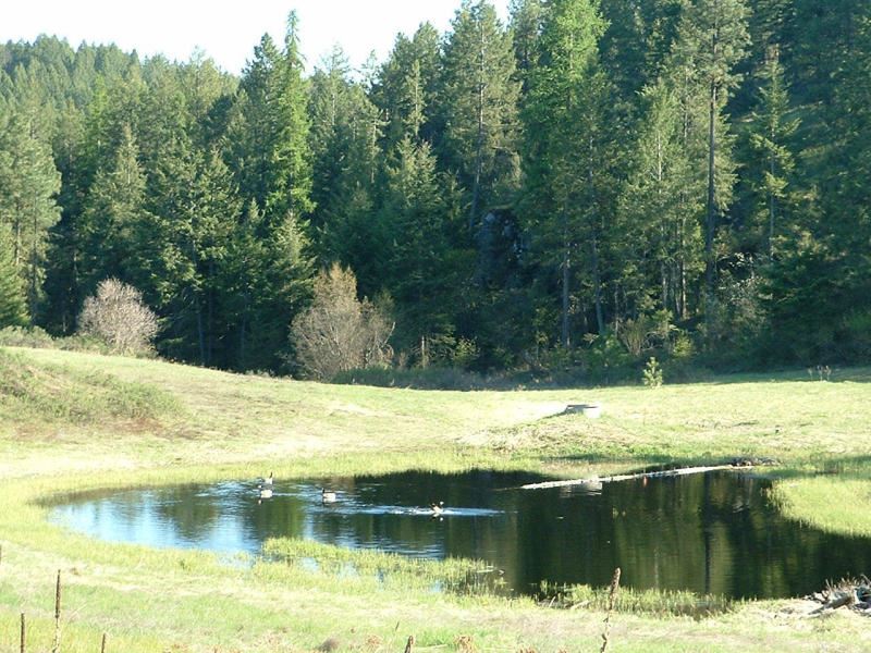 2075C Johnson Road Rice, WA 99167 - Photo 4 of 20