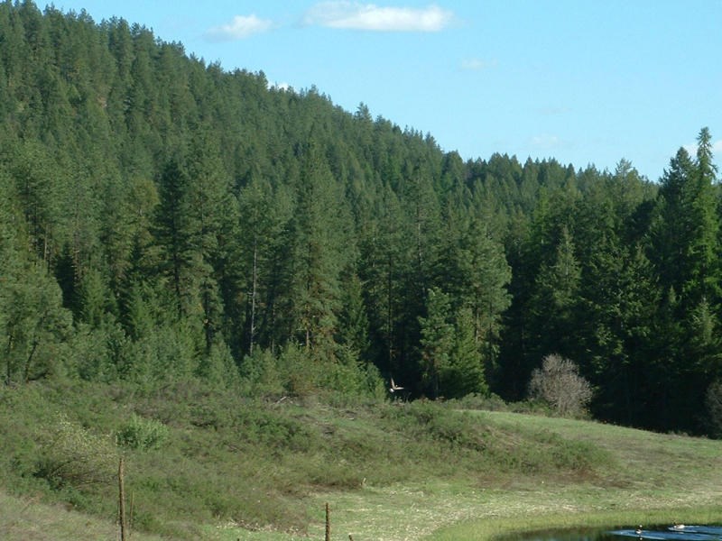 2075C Johnson Road Rice, WA 99167 - Photo 7 of 20
