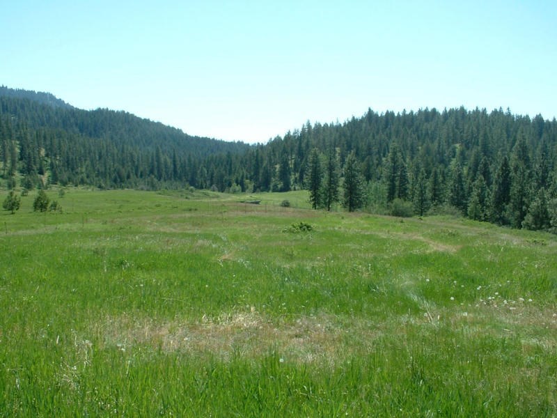 2075C Johnson Road Rice, WA 99167 - Photo 8 of 20