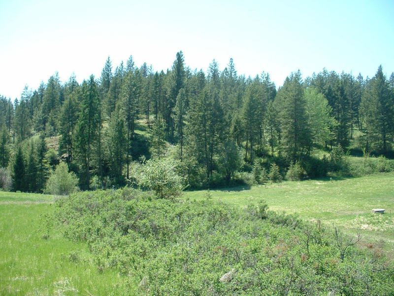 2075C Johnson Road Rice, WA 99167 - Photo 9 of 20