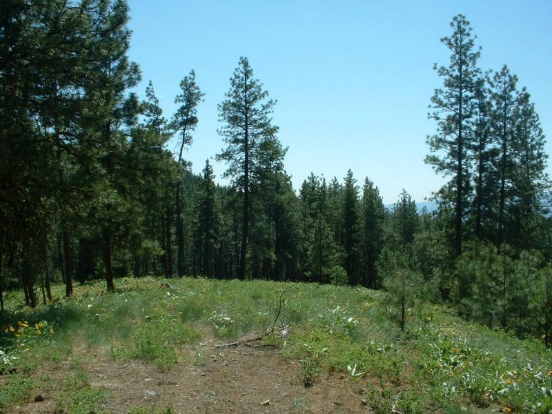 2075C Johnson Road Rice, WA 99167 - Photo 10 of 20