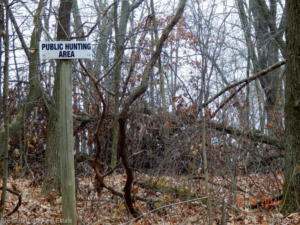 13162 Worden Road Gregory, MI 48137 - Photo 61 of 67 PUBLIC HUNTING AREA ON ROAD