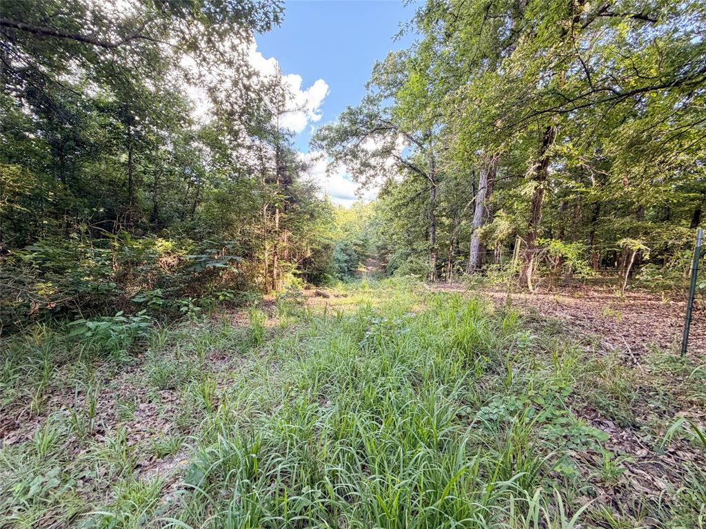 9822 Nasturtium Road Ore City, TX 75683 - Photo 28 of 30