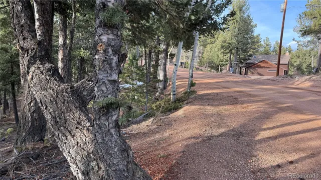 a view of road with trees