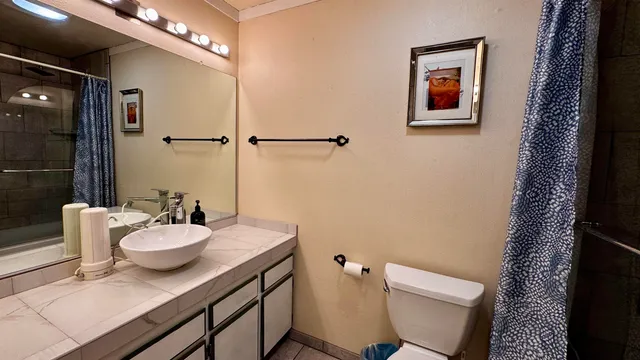 a bathroom with a sink a toilet and shower