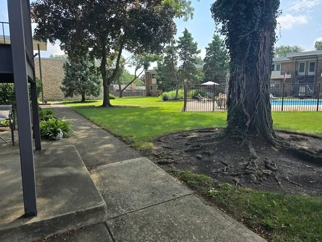 a view of a park with large trees