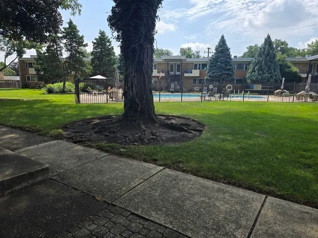a view of a park with tree s
