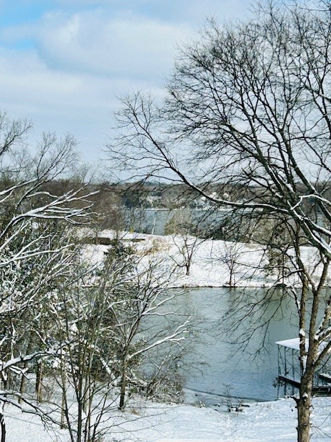 181 Lake Valley Road Hendersonville, TN 37075 - Photo 58 of 60 a view of outdoor space with a lake view