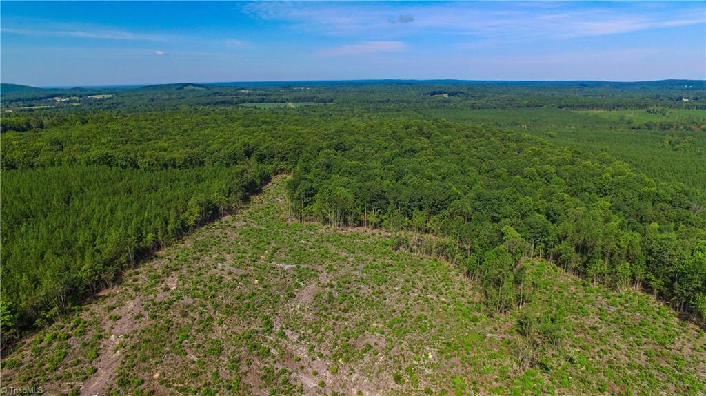 0 Cid Road Lexington, NC 27292 - Photo 7 of 23 Gallery Image 7