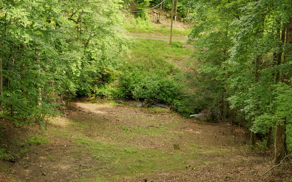 344 Woody Branch Road Murphy, NC 28906 - Photo 44 of 55