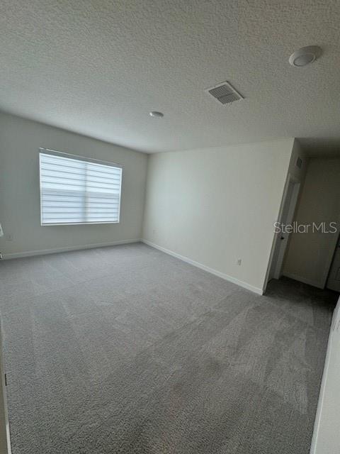 313 Talisi Loop St. Cloud, FL 34771 - Photo 24 of 48