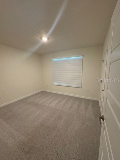 313 Talisi Loop St. Cloud, FL 34771 - Photo 33 of 48