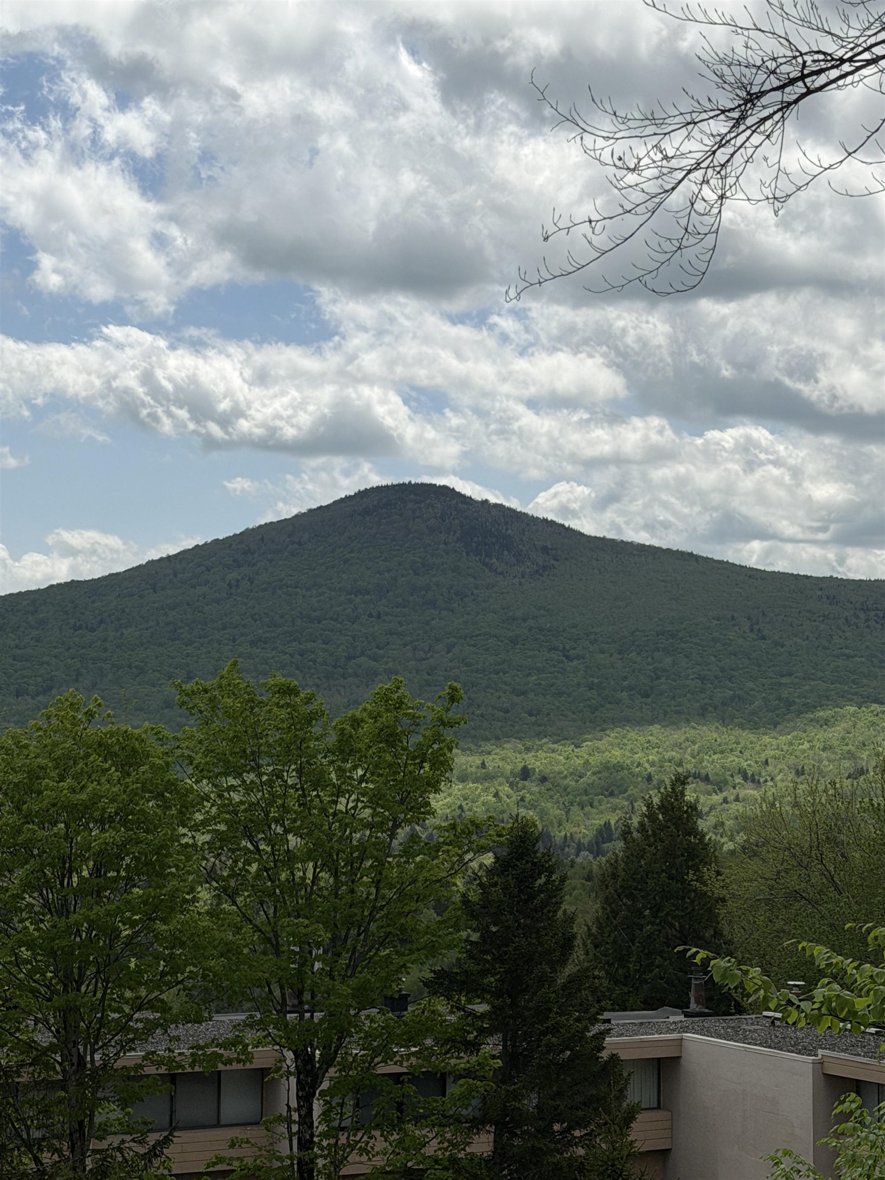 1275 Notchbrook Road, Unit 20 AB Stowe, VT 05672 - Photo 33 of 35