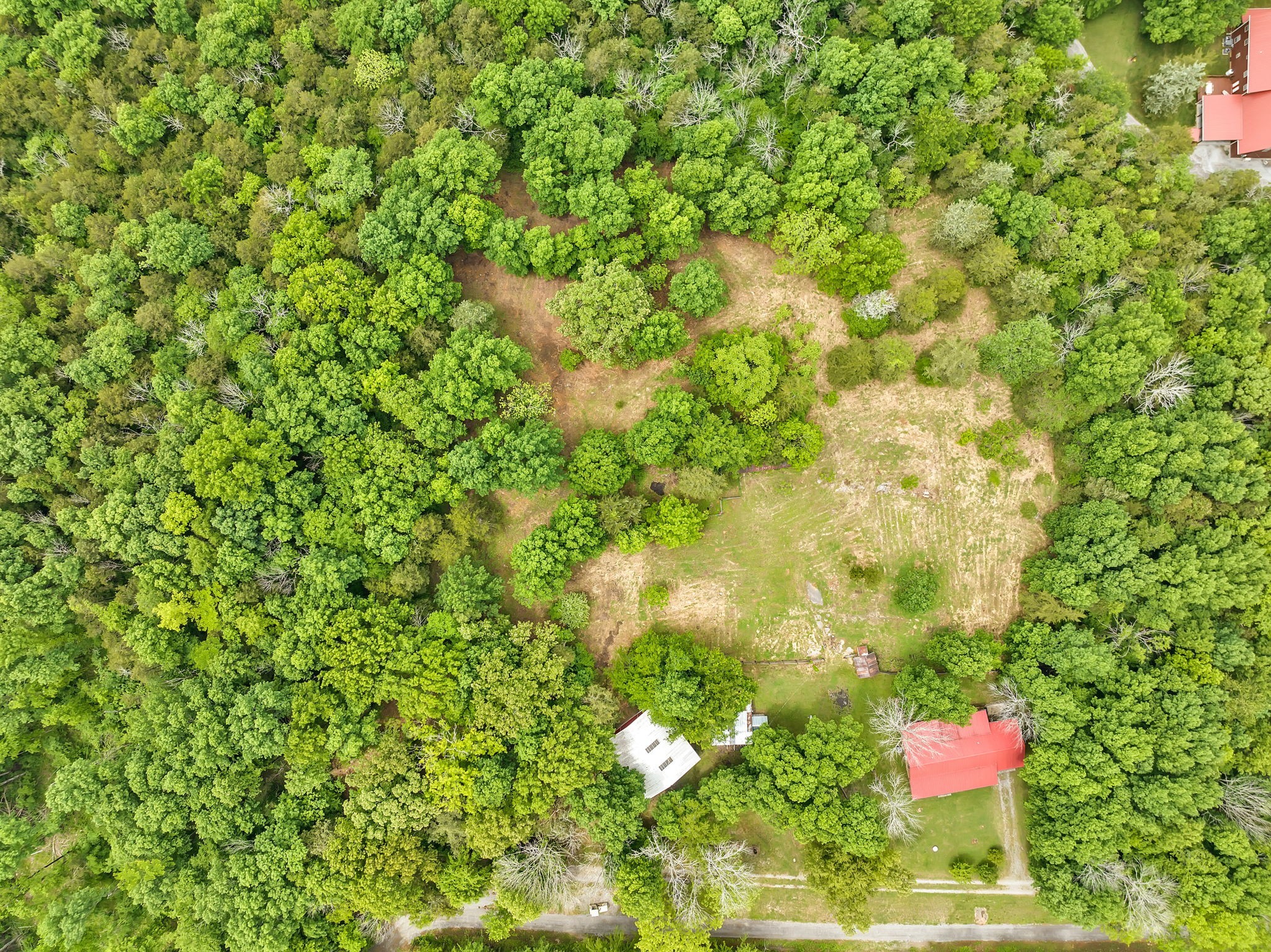 4717 Jones Road Christiana, TN 37037 - Photo 49 of 54 Gallery Image 49