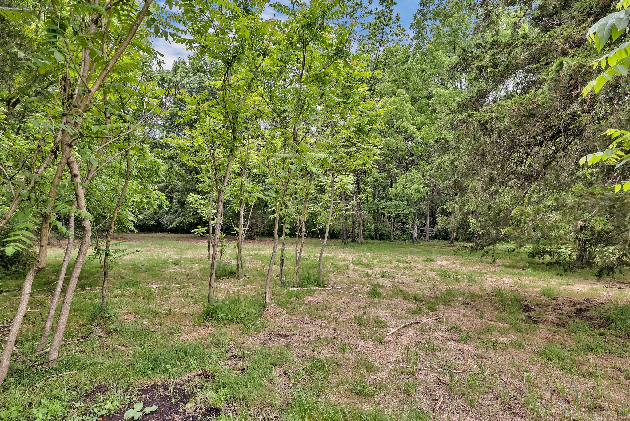 4717 Jones Road Christiana, TN 37037 - Photo 50 of 54 Gallery Image 50