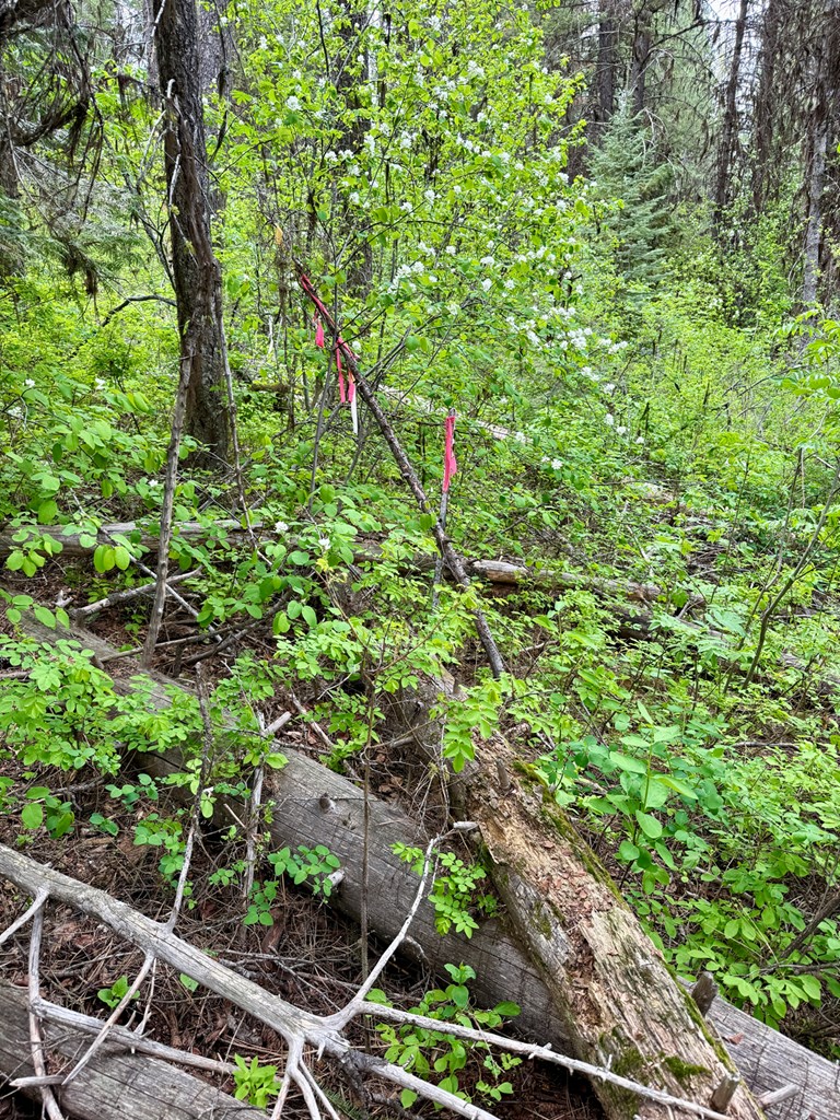 518 Susan Road, Unit 39 Cascade, ID 83611 - Photo 6 of 10 Southeast Corner Marked