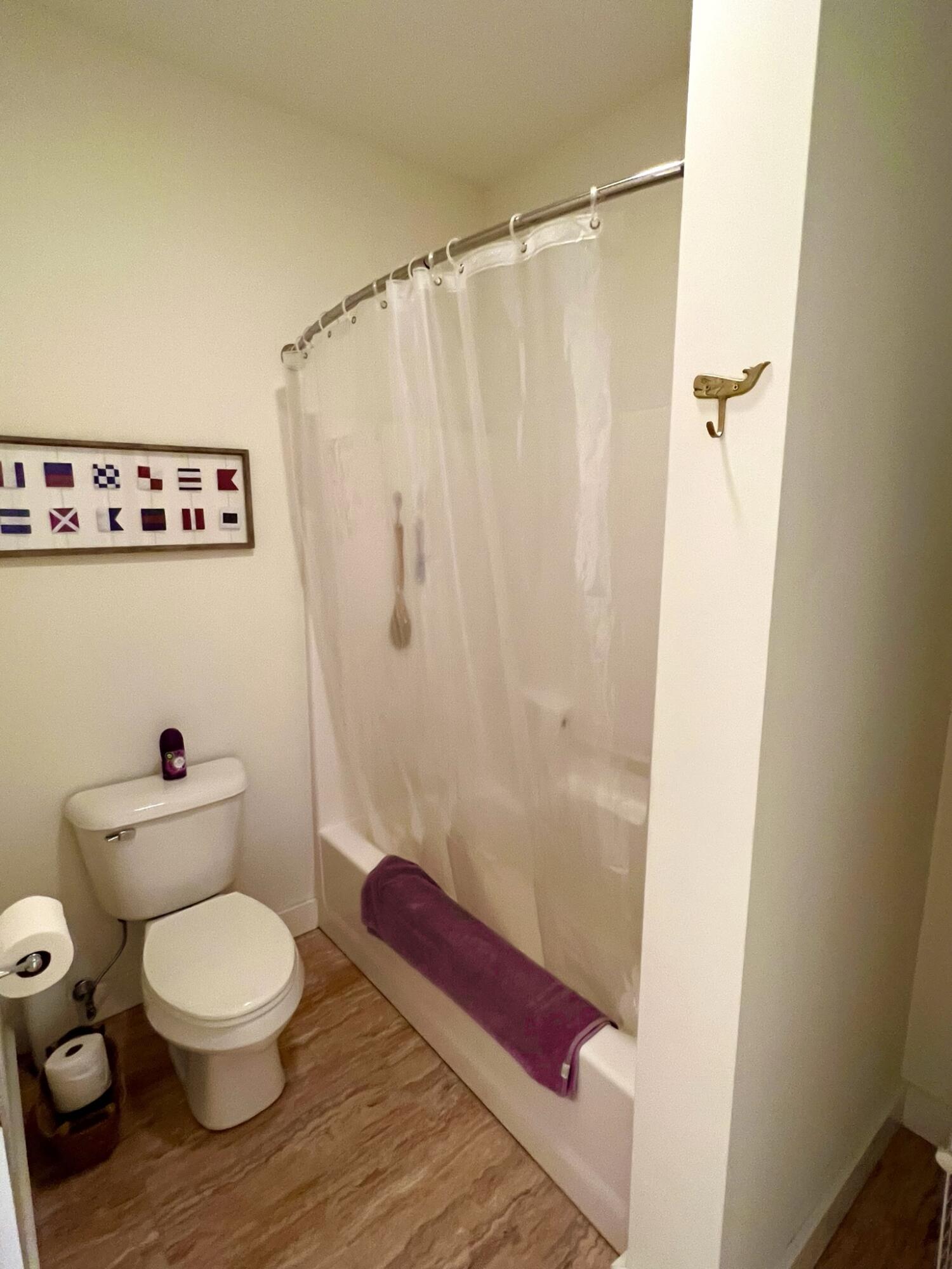 181 Ice Pond Road Waldoboro, ME 04572 - Photo 27 of 48 Lower Level shower room
