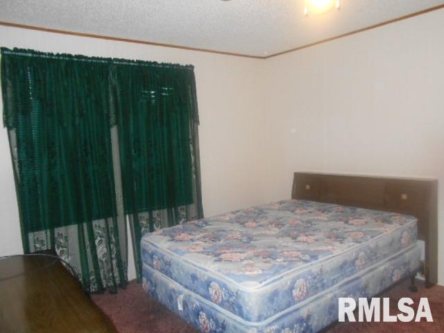 615 South Combs Street Ridgway, IL 62979 - Photo 18 of 20
