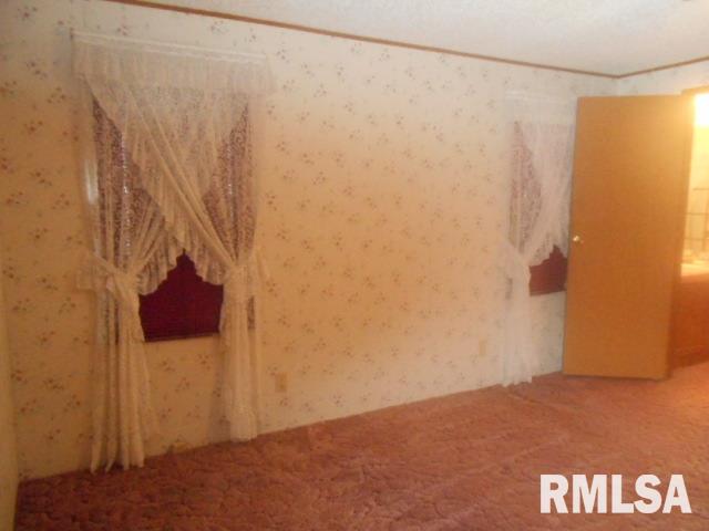 615 South Combs Street Ridgway, IL 62979 - Photo 6 of 20