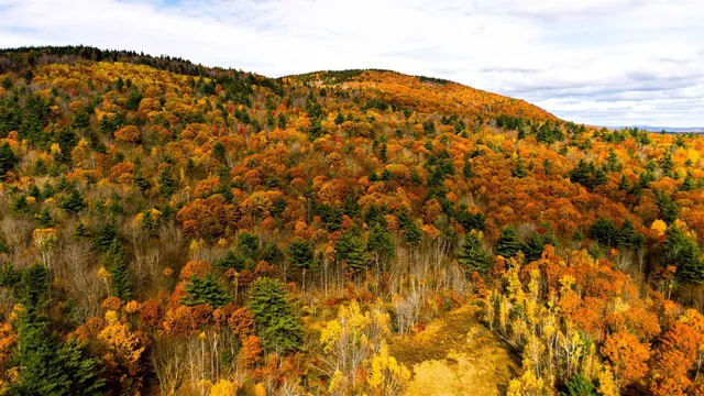 $260,000 | 0 Willard Pond Road, Hancock, NH 03449