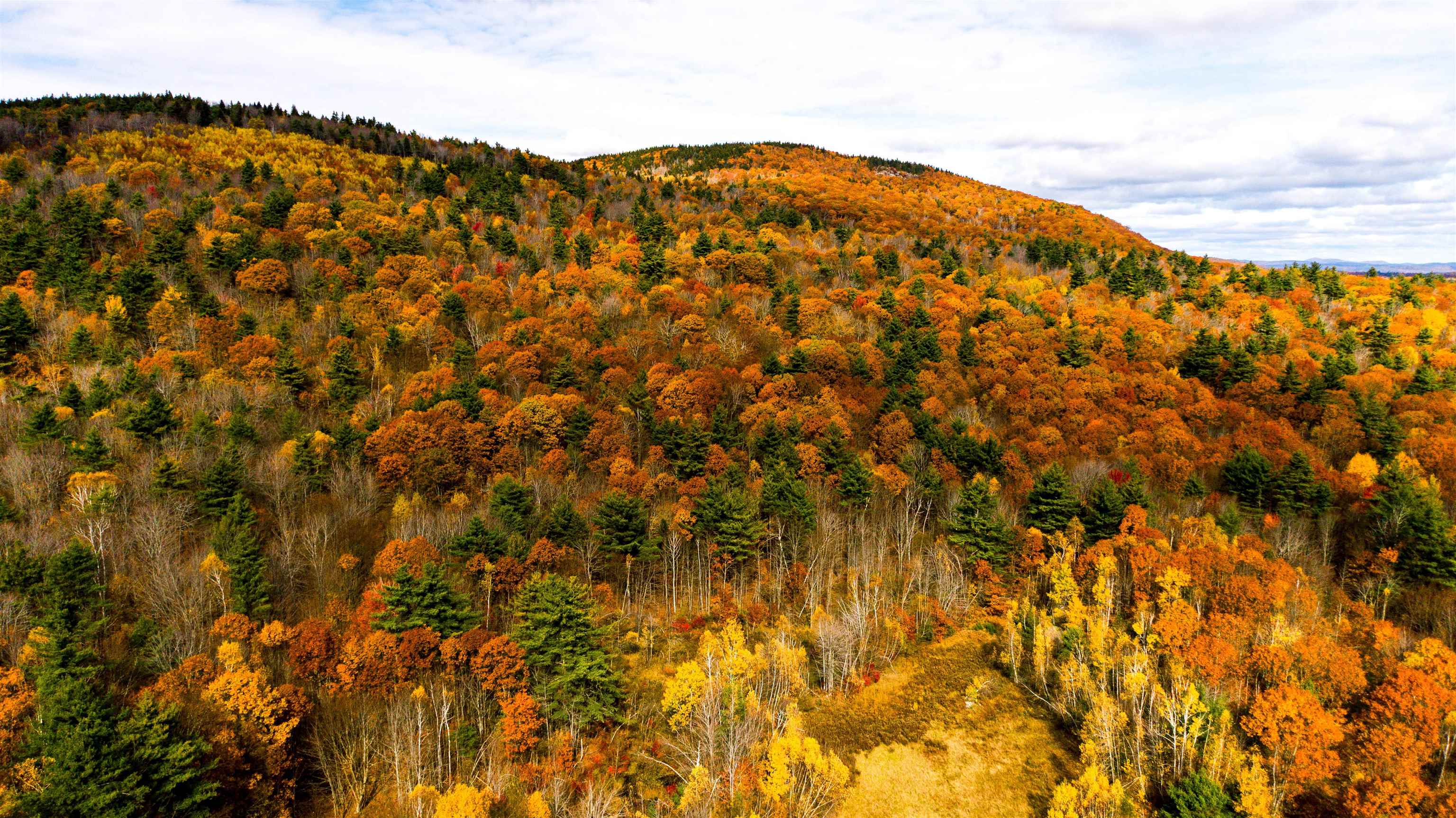 0 Willard Pond Road Hancock, NH 03449 - Photo 14 of 25