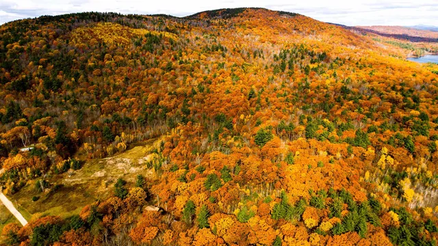 $260,000 | 0 Willard Pond Road, Hancock, NH 03449