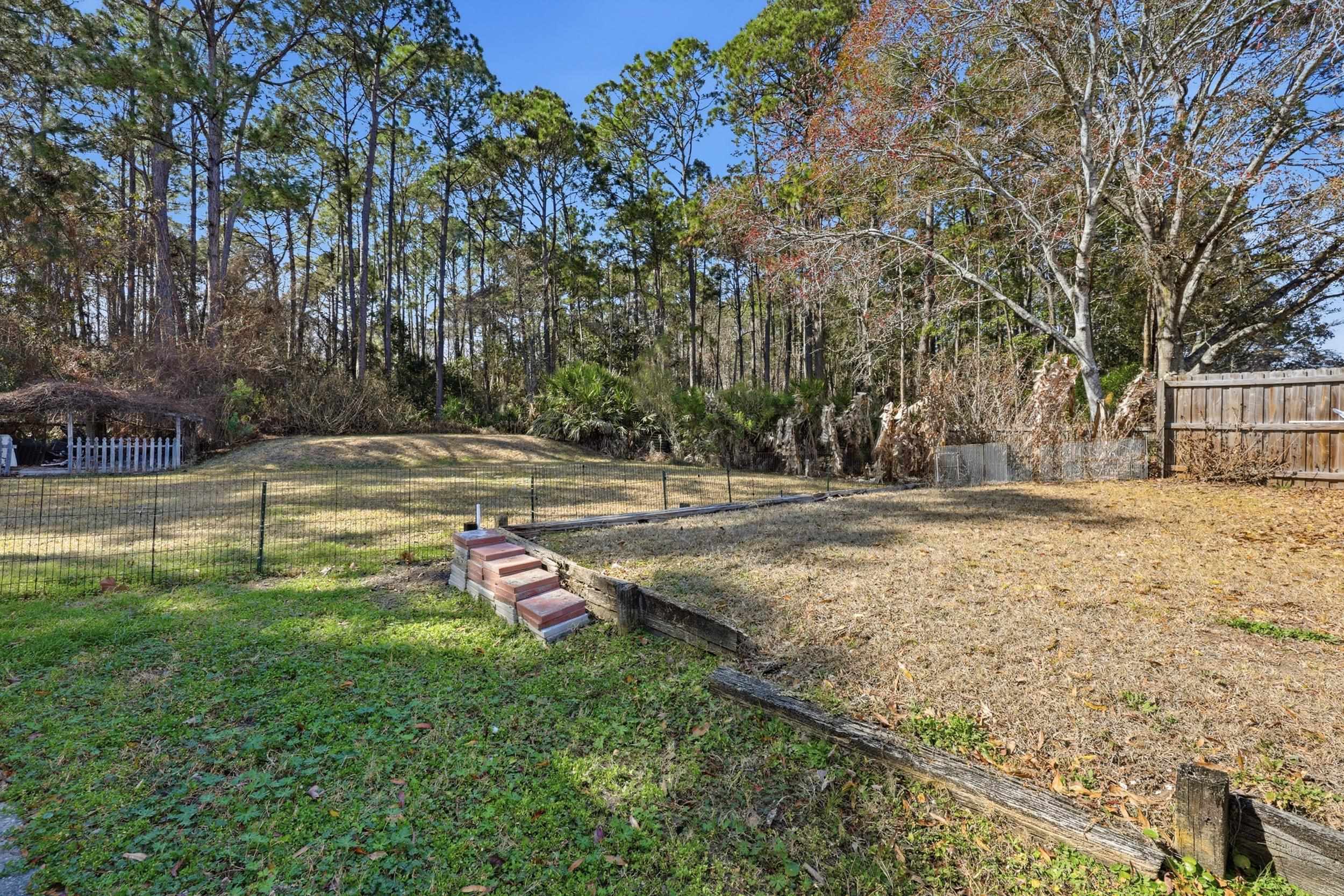 5296 Timucua Circle St. Augustine, FL 32086 - Photo 46 of 65 View of yard
