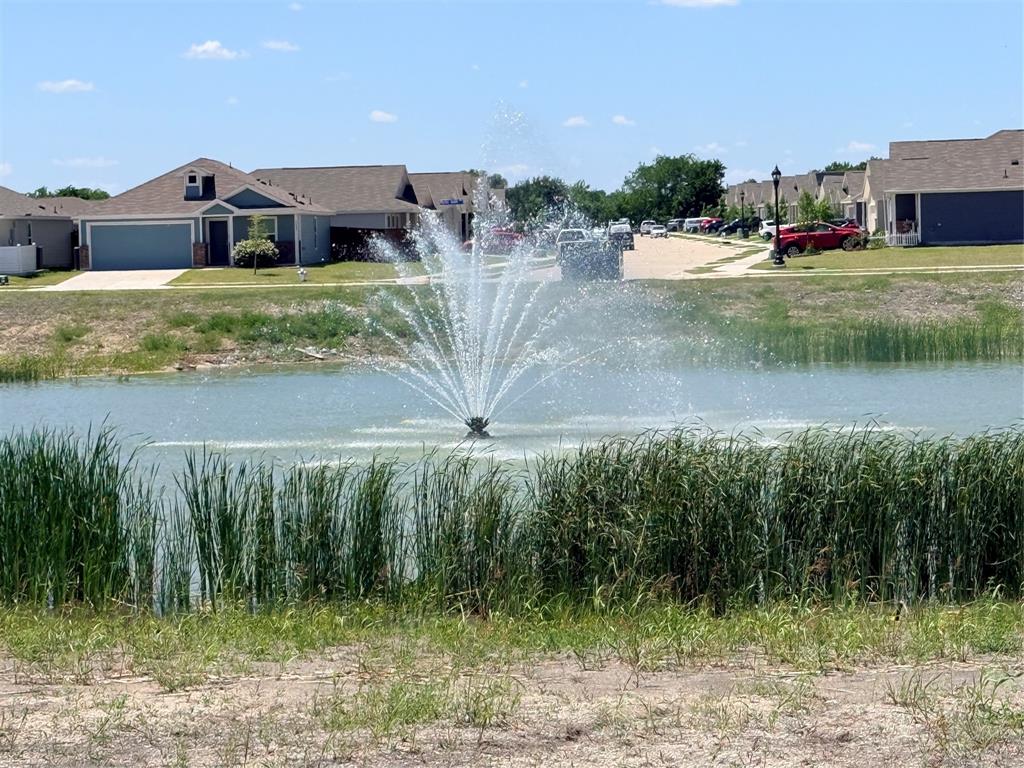 128 Honeysuckle Street Princeton, TX 75407 - Photo 19 of 19 ponds, ducks, fountains, beaches, pool, games, and gameroom in this community center