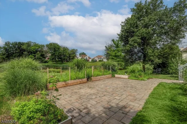 a view of a park with a large trees