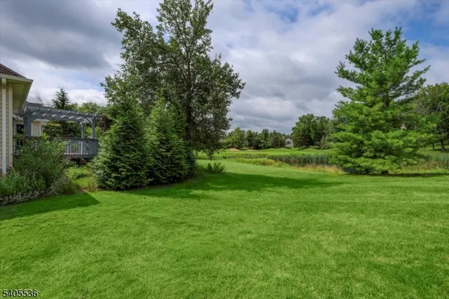 a view of a grassy field with trees