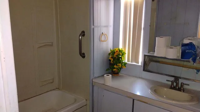 a bathroom with a granite countertop sink a potted plant and a mirror