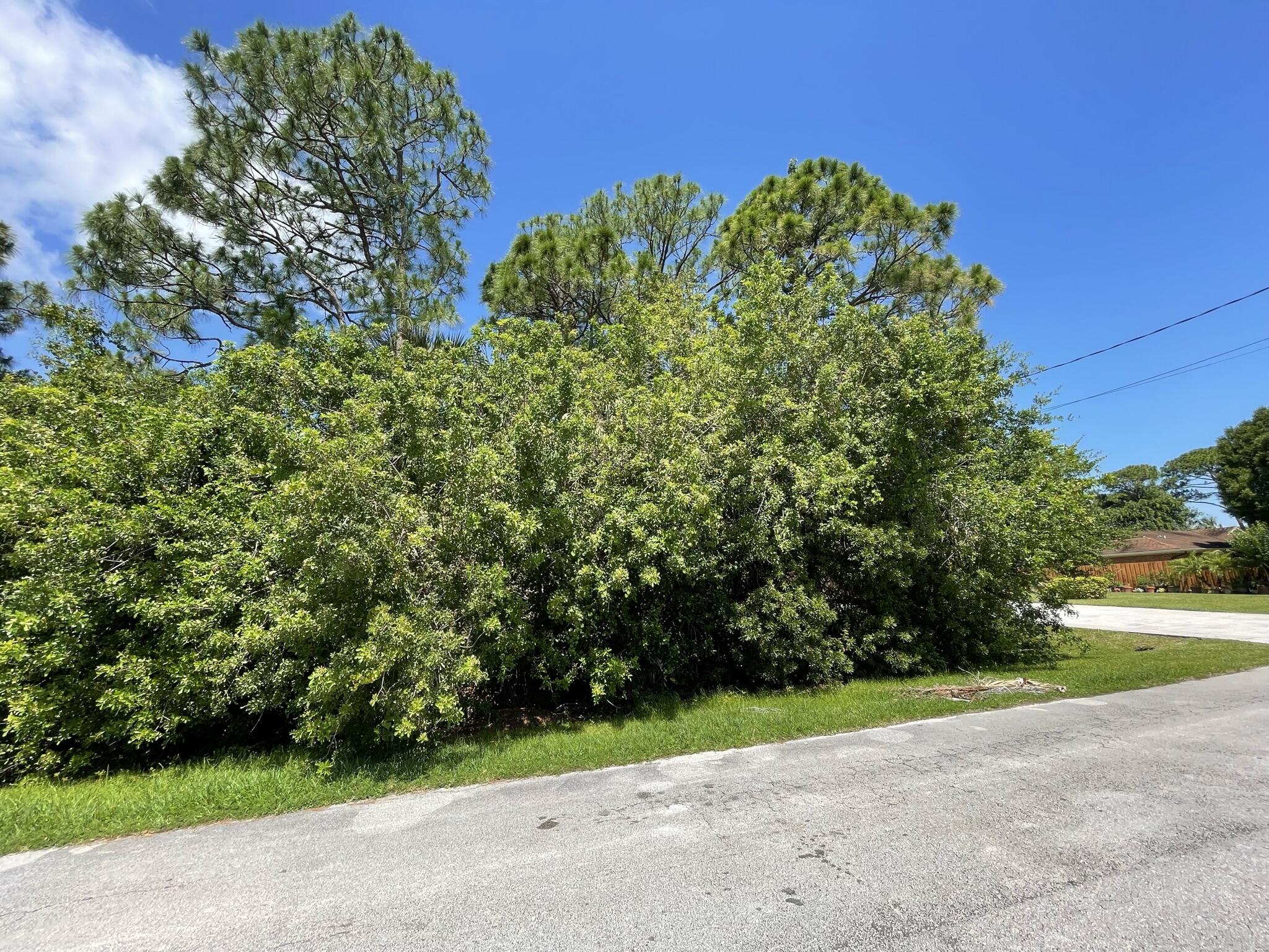 5913 Raintree Trail Fort Pierce, FL 34982 - Photo 3 of 3 IMG_0398