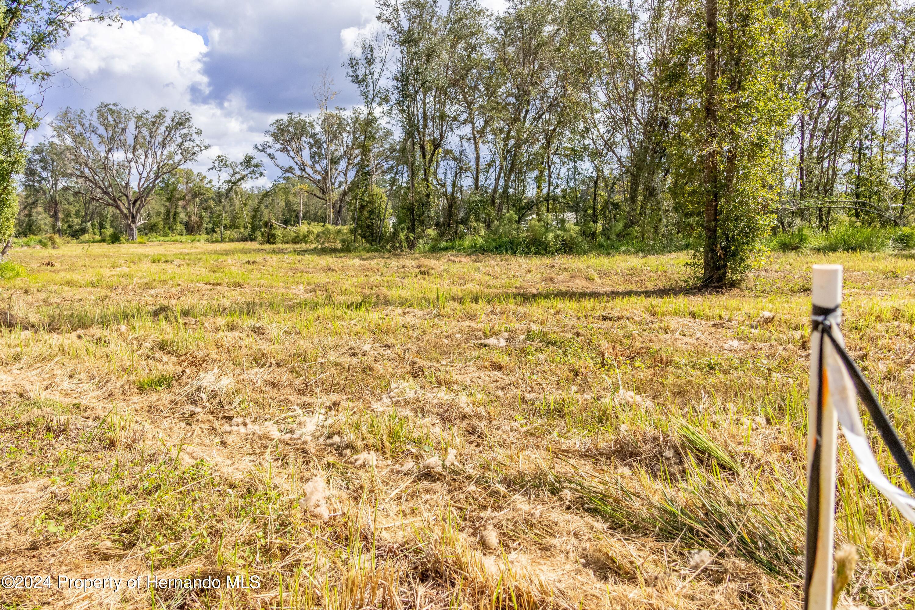 0 Saturn Road Brooksville, FL 34604 - Photo 4 of 10 a view of yard with swimming pool