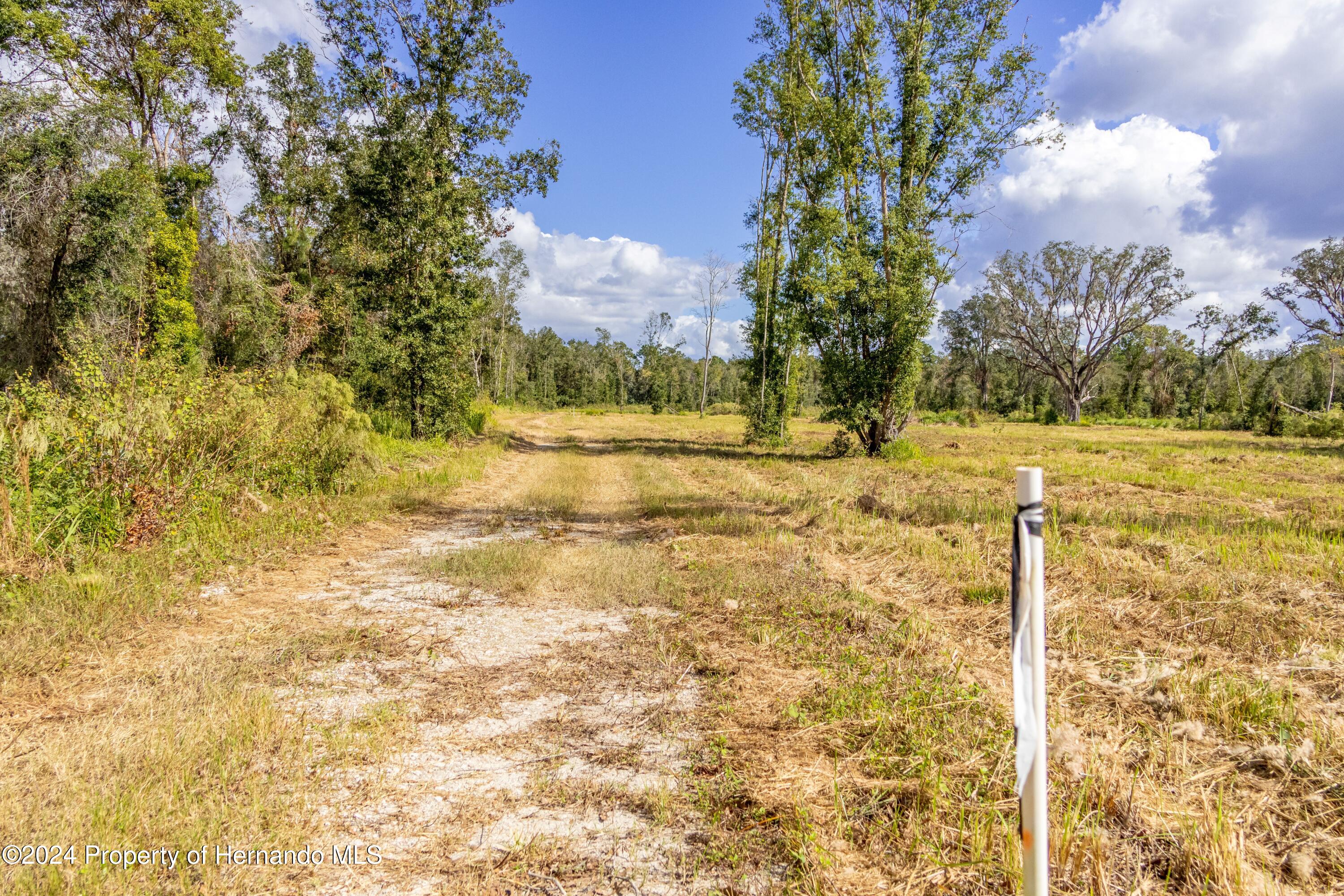 0 Saturn Road Brooksville, FL 34604 - Photo 5 of 10 a view of a yard with an trees