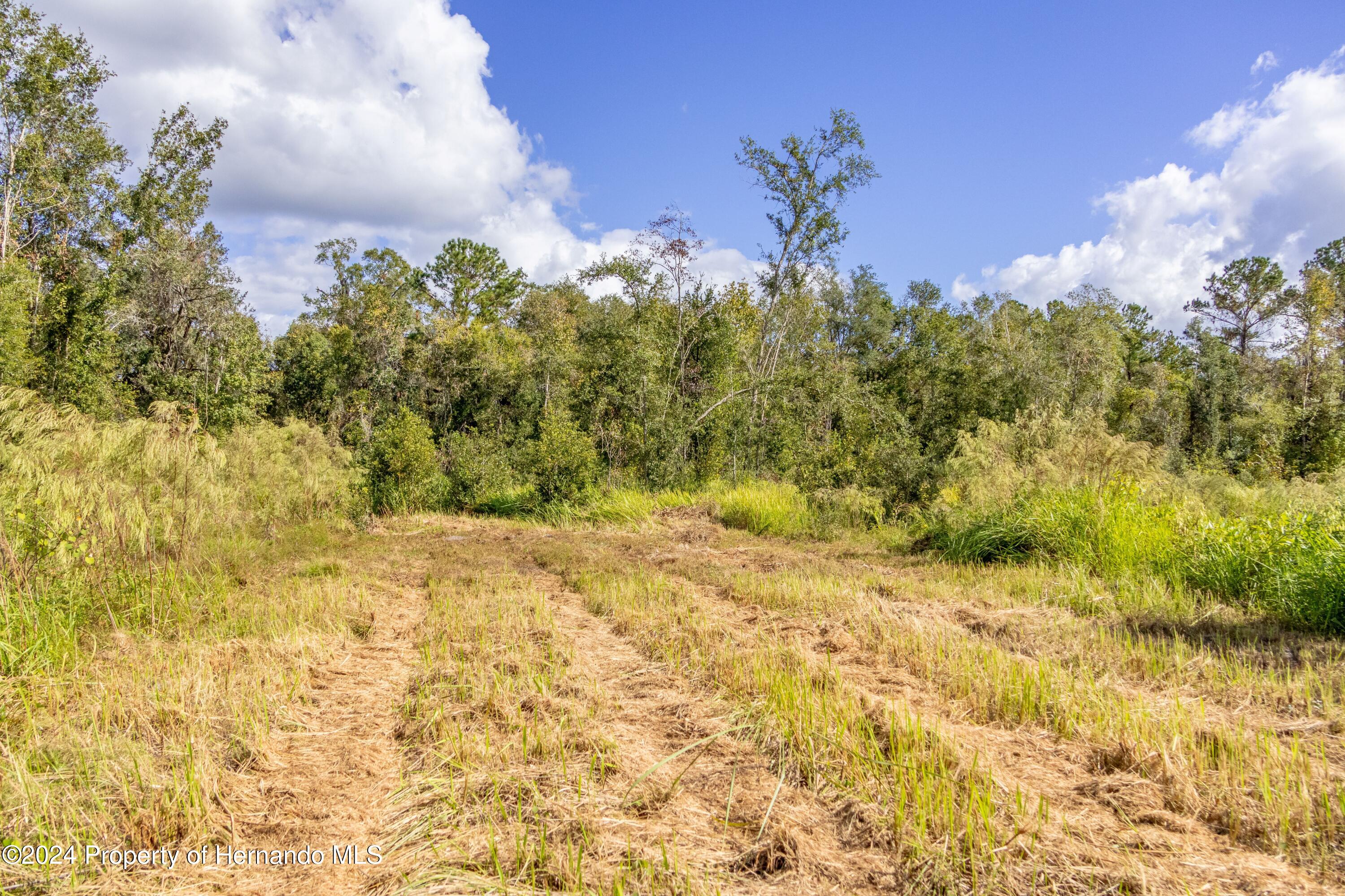 0 Saturn Road Brooksville, FL 34604 - Photo 6 of 10 a view of a yard with a tree