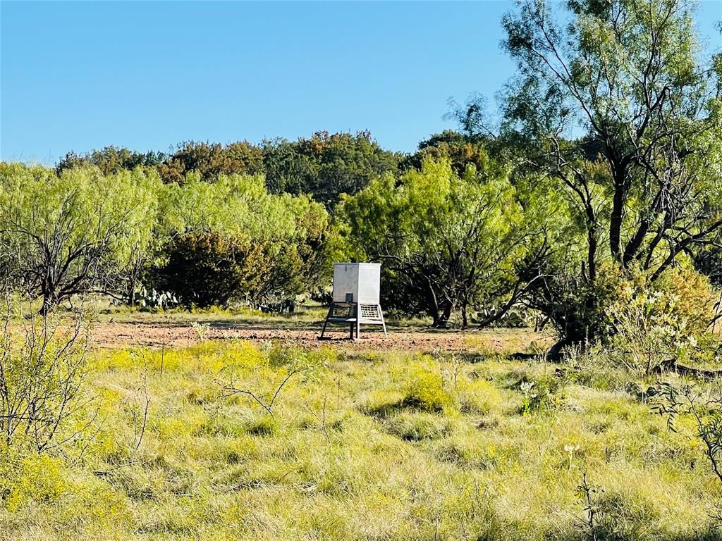 1089 Tennyson Road Miles, TX 76861 - Photo 23 of 40