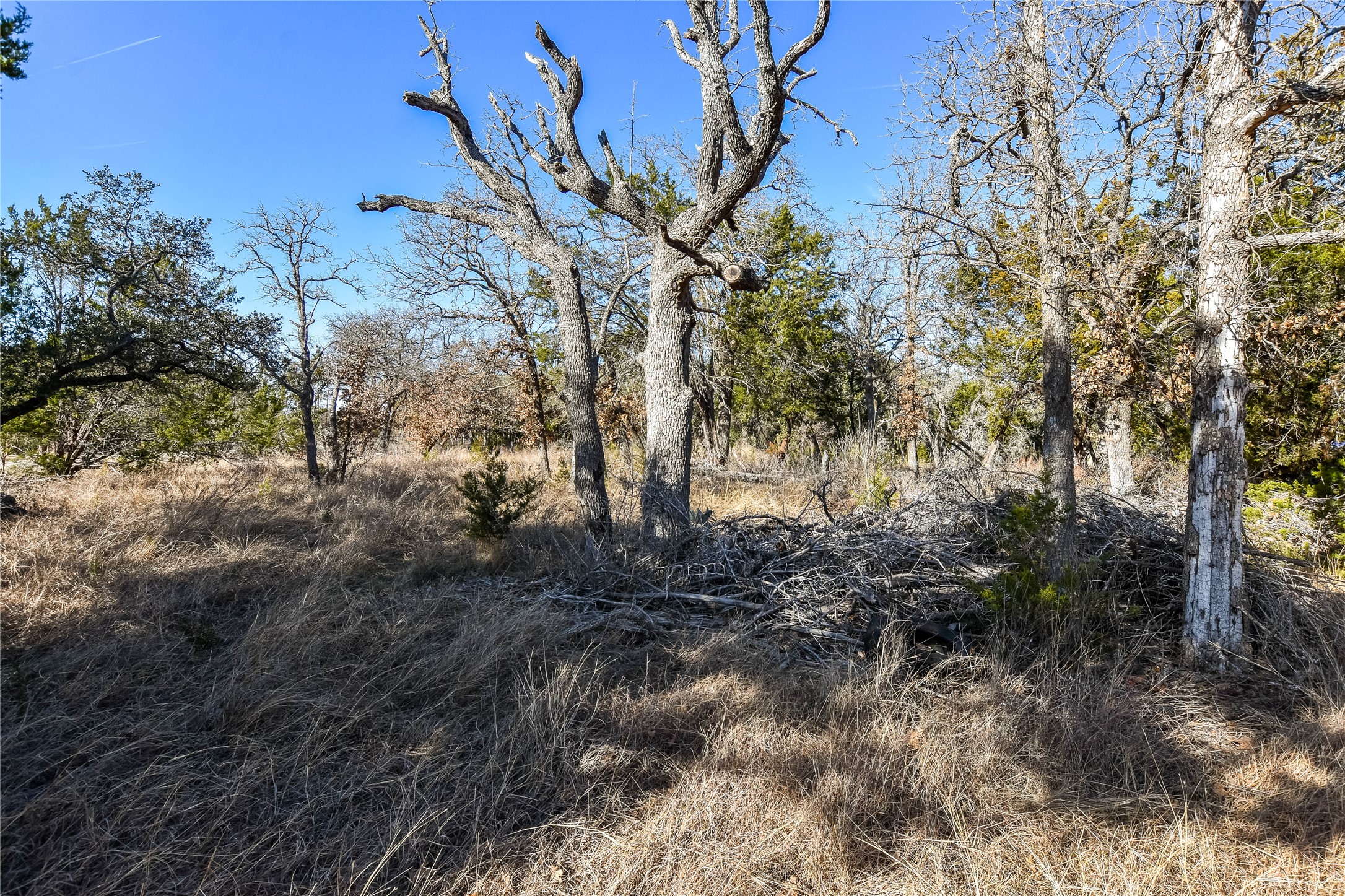 430 County Road 220 Florence, TX 76527 - Photo 5 of 11
