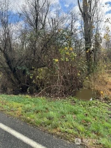 a big yard with lots of green space and plants