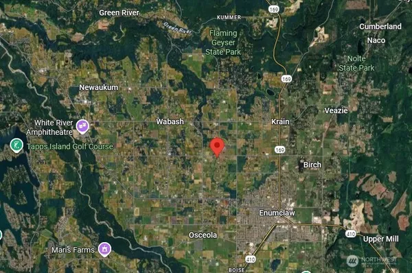 a close up of a tree