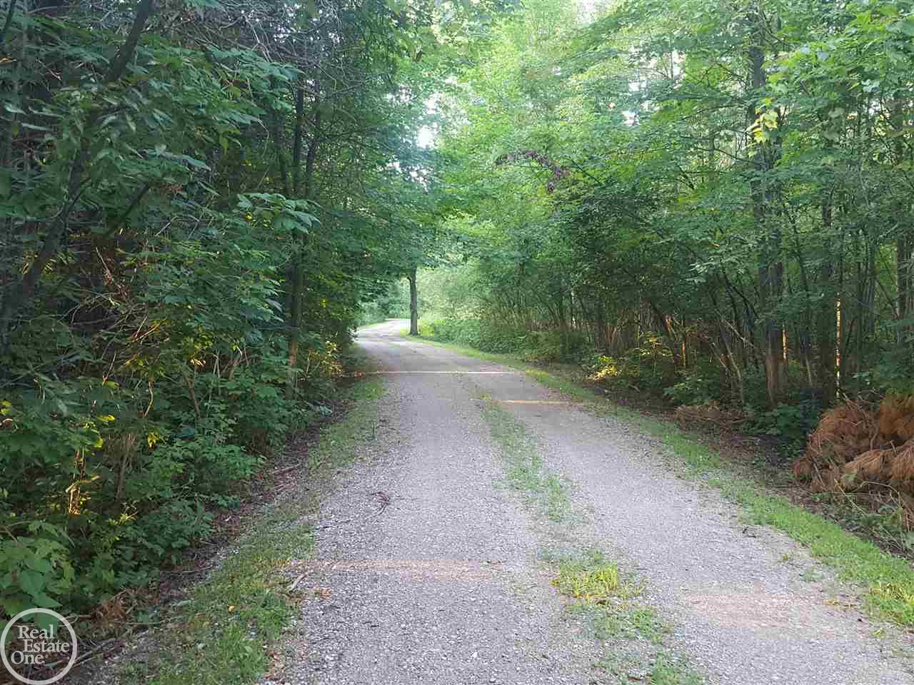 4396 Mortimer Line Road Croswell, MI 48422 - Photo 42 of 42