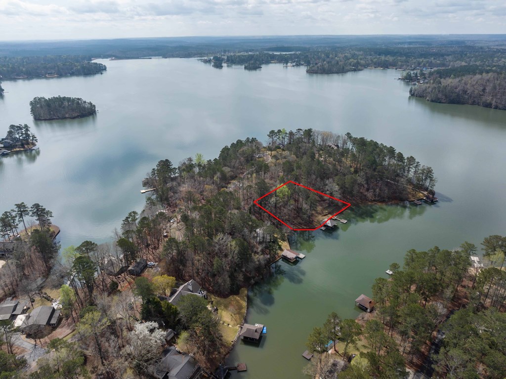 350 Pinetree Road Hamilton, GA 31811 - Photo 15 of 16 Gallery Image 15
