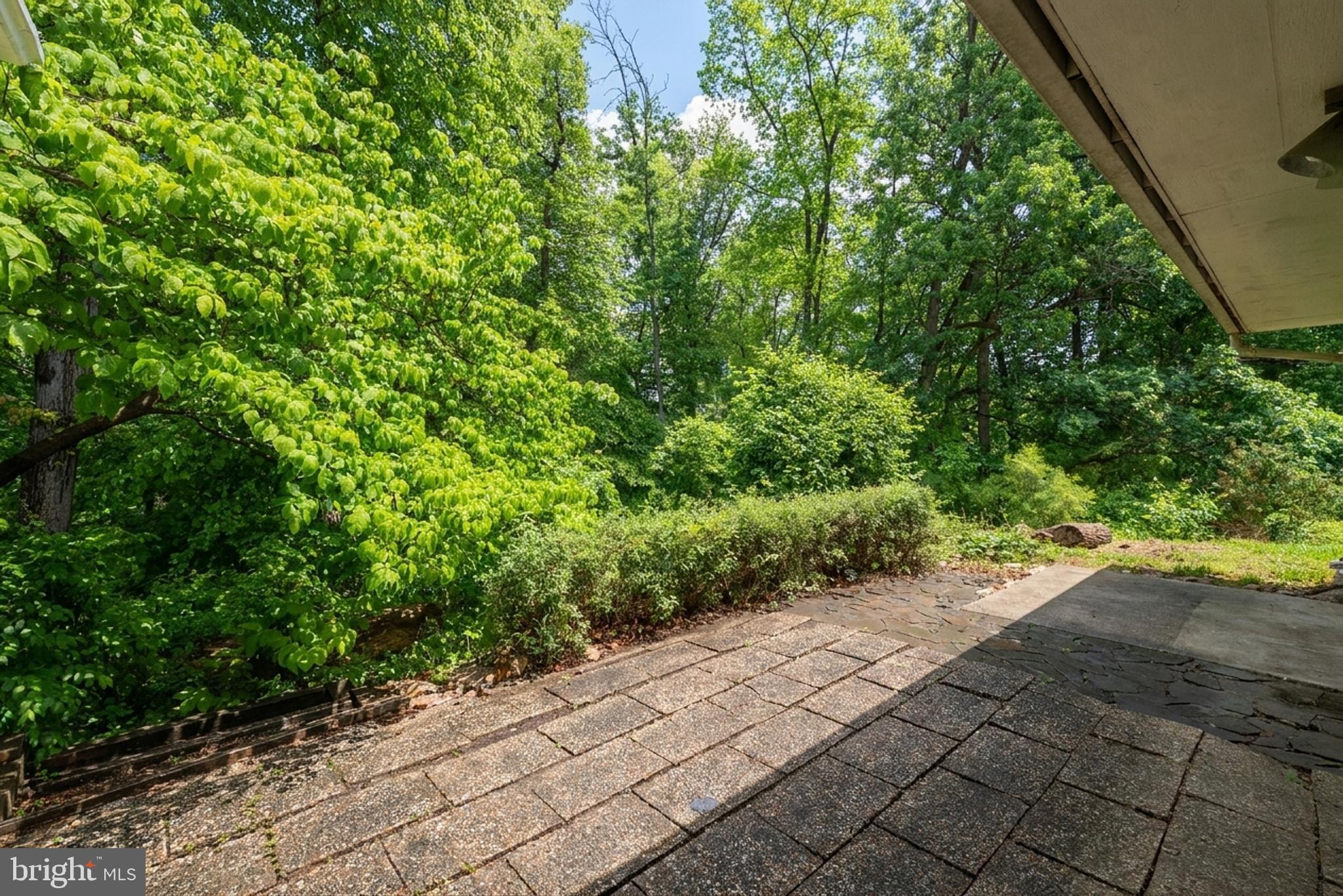 5533 Belfast Place Springfield, VA 22151 - Photo 33 of 39