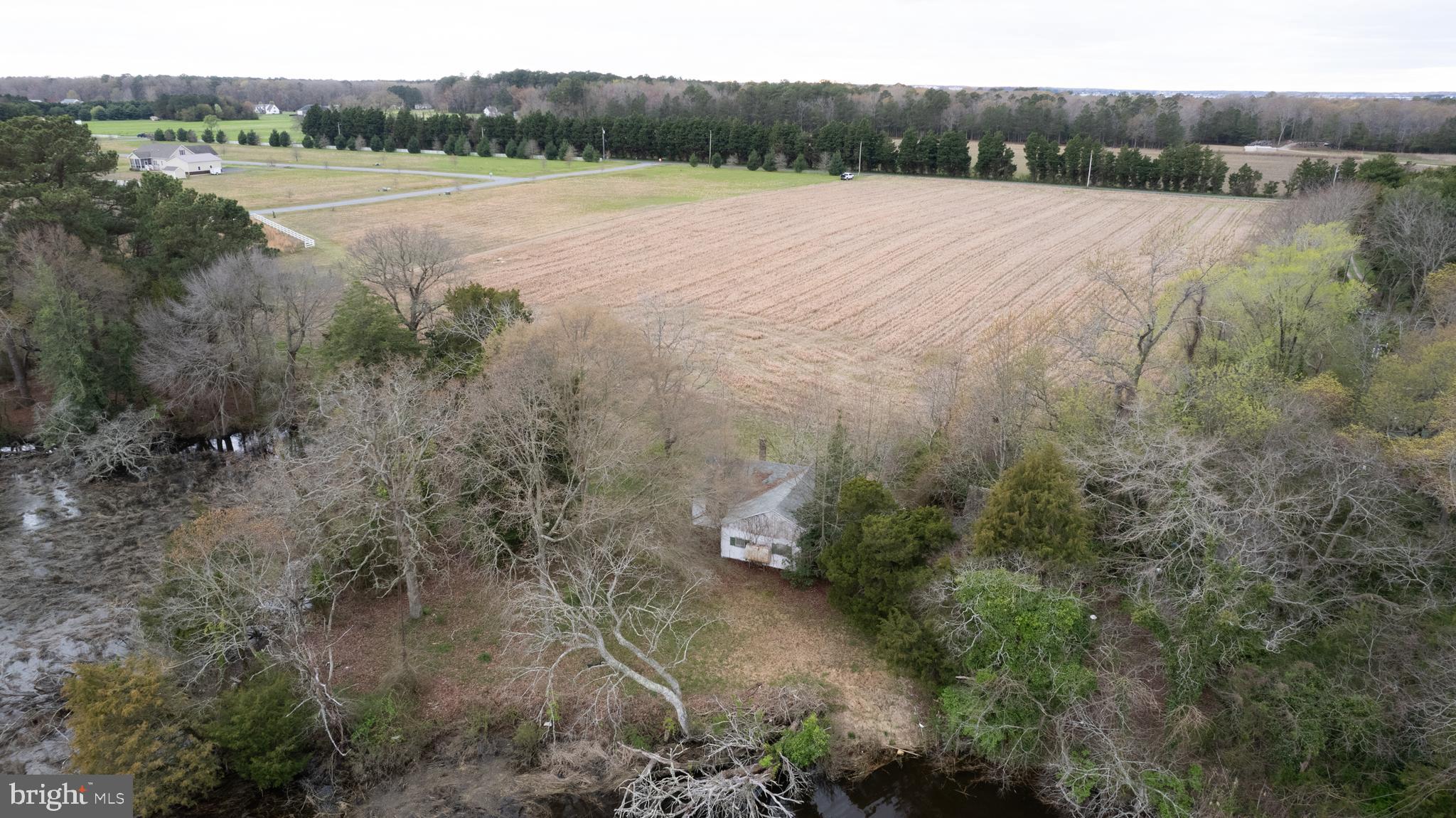 5631 Cedar Grove Road East New Market, MD 21631 - Photo 7 of 16