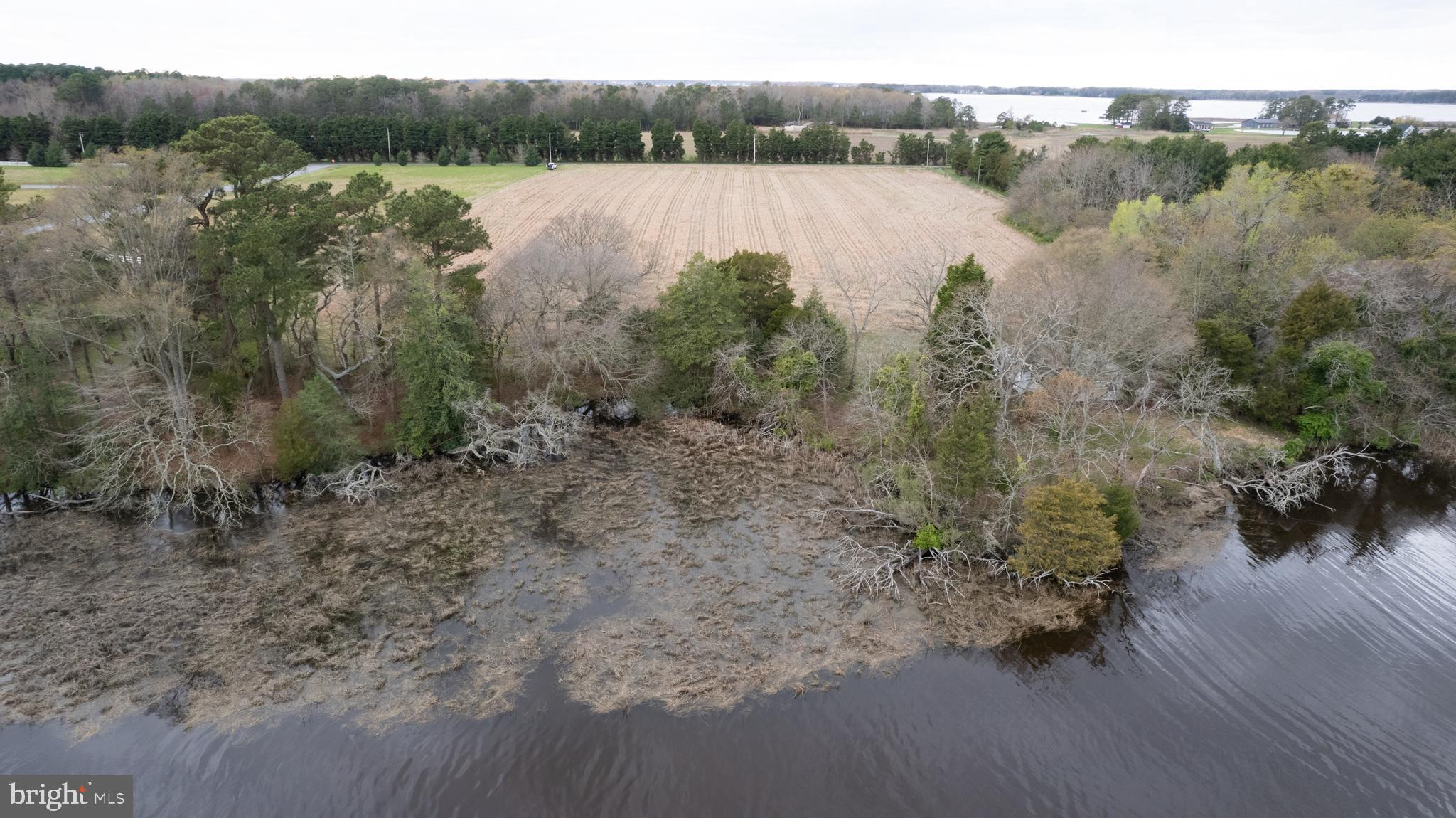 5631 Cedar Grove Road East New Market, MD 21631 - Photo 9 of 16